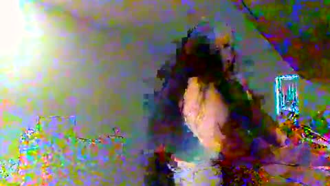 Snapshot of juicylatinabbw chatting on February 2026 04:07:02 PM juicylatinabbw online show from February 2026 04:07:02 PM