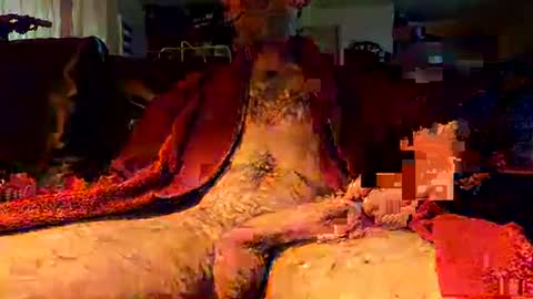 Snapshot of jujusbzh chatting on February 2025 08:06:02 AM jujusbzh online show from February 2025 08:06:02 AM