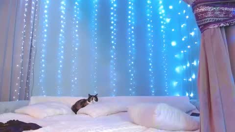 Snapshot of julia_renard chatting on November 2025 07:22:02 AM Julia online show from November 2025 07:22:02 AM