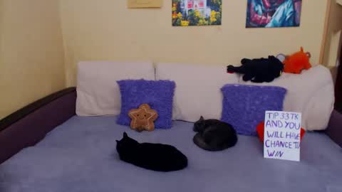 Snapshot of juliasane_ chatting on November 2025 11:20:01 AM Jul online show from November 2025 11:20:01 AM