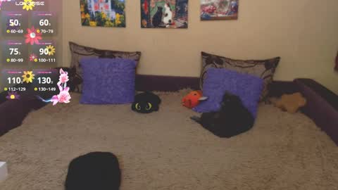 Jul online show from March 2026 09:59:01 AM