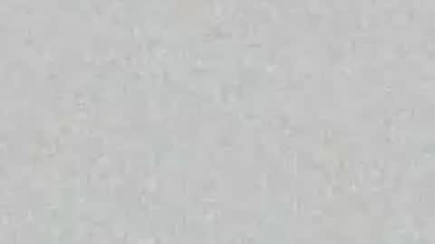 Julia online show from August 2026 11:26:02 AM