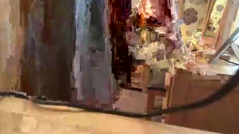 Snapshot of juliecd1955 chatting on November 2025 01:56:02 PM brian online show from November 2025 01:56:02 PM