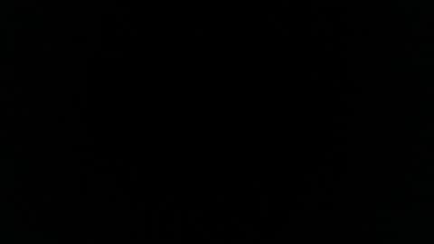 julienabi online show from February 2025 03:59:02 AM