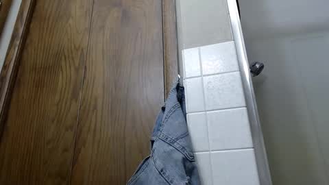 Snapshot of junk_yard_dog chatting on January 2025 12:58:01 PM Dave online show from January 2025 12:58:01 PM