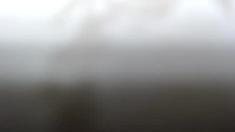 Snapshot of junk_yard_dog chatting on February 2025 02:21:02 PM Dave online show from February 2025 02:21:02 PM