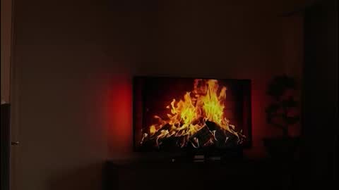 just_dakota_ online show from February 2026 08:54:01 AM