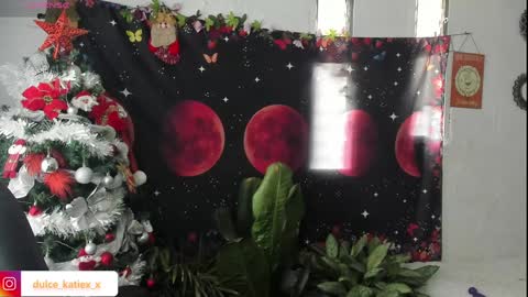 Snapshot of just_katiex chatting on December 2024 09:28:02 PM Sofia online show from December 2024 09:28:02 PM