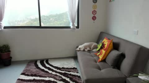 Snapshot of just_katiex chatting on March 2025 02:34:02 PM Sofia online show from March 2025 02:34:02 PM