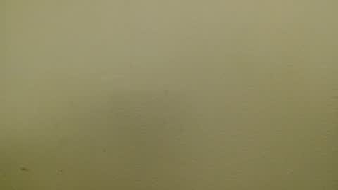 Just marlon online show from January 2025 02:39:02 AM