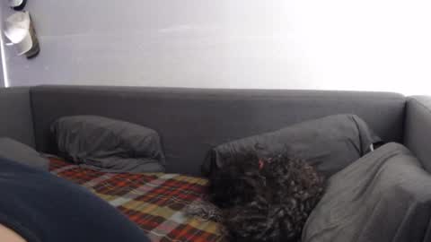 Snapshot of justasucker4u chatting on November 2025 01:44:02 PM justasucker4u online show from November 2025 01:44:02 PM