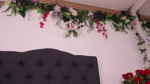 Nala online show from March 2026 03:40:02 PM