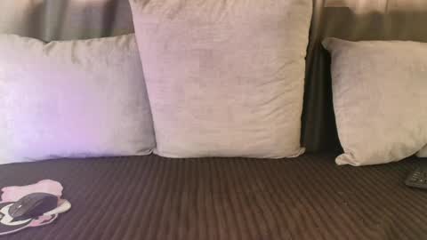 Katt your neighborg online show from June 2026 08:11:01 PM