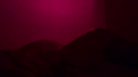 Call me Just online show from December 2024 12:38:01 PM