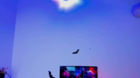 Kaaiiri online show from January 2025 04:06:01 PM