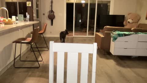 Snapshot of kaileeshy chatting on September 2025 04:39:02 AM Kailee Smile online show from September 2025 04:39:02 AM