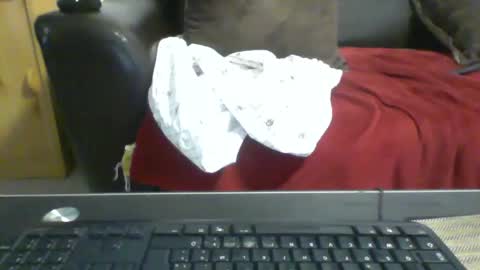 Snapshot of kamkiko69 chatting on December 2024 12:51:02 PM kamkiko69 online show from December 2024 12:51:02 PM