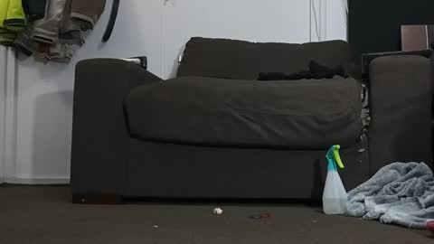 Snapshot of kandydreamss chatting on January 2025 06:33:02 PM Kandy Dreams online show from January 2025 06:33:02 PM