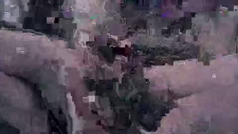 Tucker online show from May 2026 05:49:01 AM