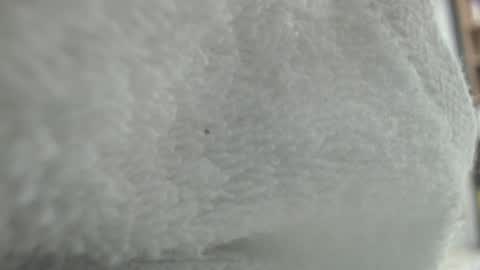 Karin online show from January 2025 11:35:01 AM