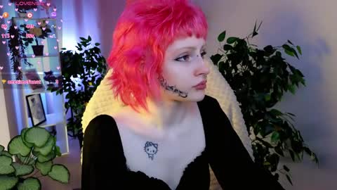 karkadeshk online show from April 2026 04:23:01 PM