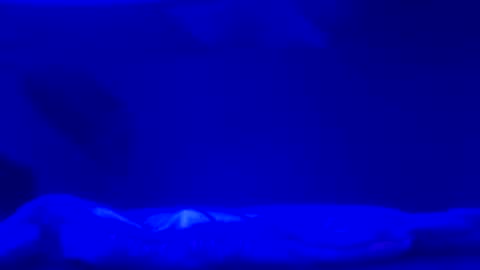 Snapshot of karla_gonzaless chatting on November 2025 06:49:01 AM Karla Gonzaless online show from November 2025 06:49:01 AM