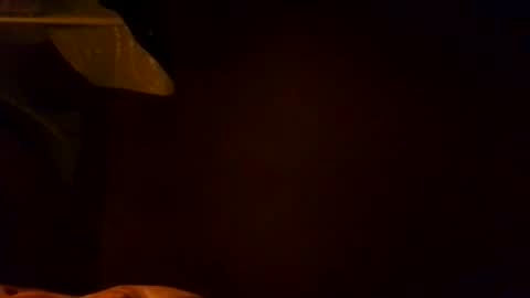 Snapshot of karla_gonzaless chatting on November 2025 06:56:02 AM Karla Gonzaless online show from November 2025 06:56:02 AM