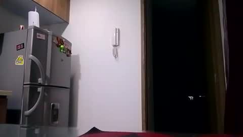 Snapshot of karla_gonzaless chatting on November 2025 07:52:01 AM Karla Gonzaless online show from November 2025 07:52:01 AM