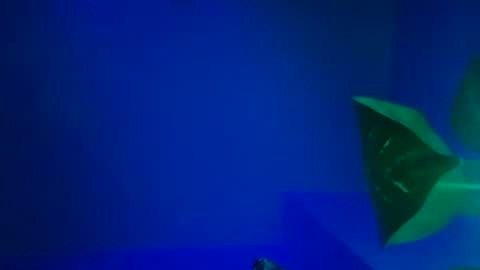 Snapshot of karla_gonzaless chatting on November 2025 06:44:01 AM Karla Gonzaless online show from November 2025 06:44:01 AM