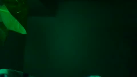 Snapshot of karla_gonzaless chatting on November 2025 07:29:01 AM Karla Gonzaless online show from November 2025 07:29:01 AM