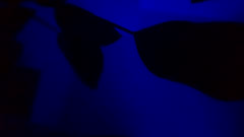 Snapshot of karla_gonzaless chatting on November 2025 03:05:01 AM Karla Gonzaless online show from November 2025 03:05:01 AM