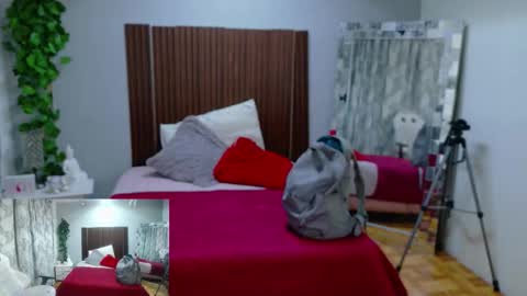 kate online show from February 2026 11:41:01 AM