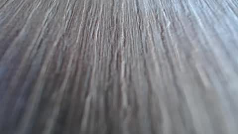 Katalleya online show from December 2024 09:56:02 AM