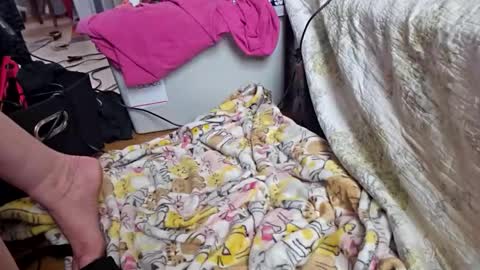 Snapshot of katladyzsafespace chatting on December 2025 05:54:02 PM katladyzsafespace online show from December 2025 05:54:02 PM