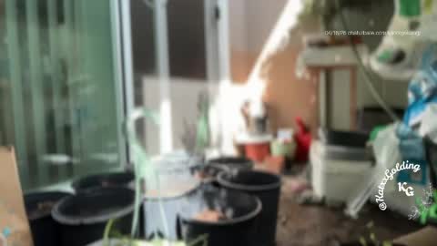 Princesse Kat  online show from April 2026 10:21:02 PM