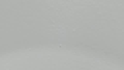 Snapshot of katy_and_paola chatting on January 2025 02:01:01 AM katy blonde girl and paola big boobs online show from January 2025 02:01:01 AM