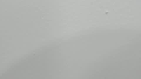 Snapshot of katy_and_paola chatting on January 2025 01:47:01 AM katy blonde girl and paola big boobs online show from January 2025 01:47:01 AM