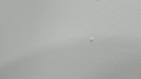 Snapshot of katy_and_paola chatting on February 2025 01:52:02 AM katy blonde girl and paola big boobs online show from February 2025 01:52:02 AM