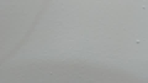 Snapshot of katy_and_paola chatting on February 2025 07:44:01 PM katy blonde girl and paola big boobs online show from February 2025 07:44:01 PM