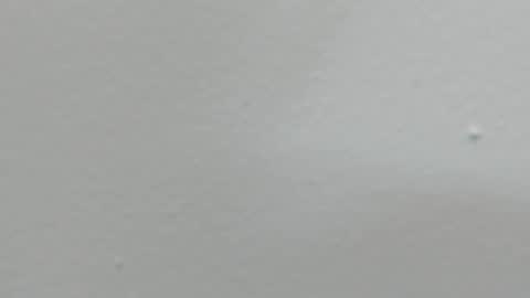 Snapshot of katy_and_paola chatting on February 2025 08:03:01 PM katy blonde girl and paola big boobs online show from February 2025 08:03:01 PM