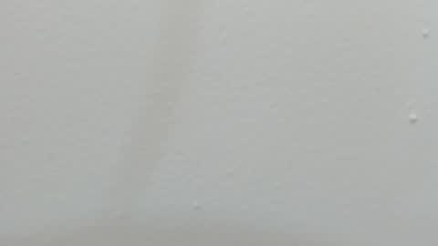 Snapshot of katy_and_paola chatting on February 2025 07:38:02 PM katy blonde girl and paola big boobs online show from February 2025 07:38:02 PM