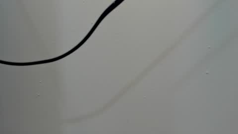 Snapshot of katy_and_paola chatting on March 2025 08:00:01 PM katy blonde girl and paola big boobs online show from March 2025 08:00:01 PM