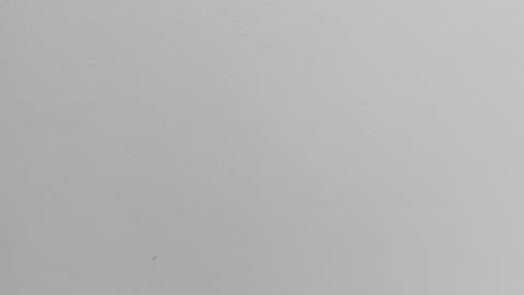 Snapshot of katy_and_paola chatting on September 2025 07:37:02 PM katy blonde girl and paola big boobs online show from September 2025 07:37:02 PM