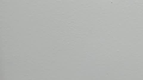 Snapshot of katy_and_paola chatting on September 2025 07:28:01 PM katy blonde girl and paola big boobs online show from September 2025 07:28:01 PM