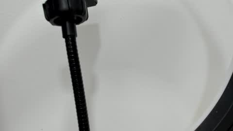 Snapshot of katy_and_paola chatting on September 2025 07:29:01 PM katy blonde girl and paola big boobs online show from September 2025 07:29:01 PM