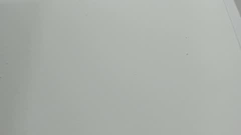 Snapshot of katy_and_paola chatting on October 2025 07:44:02 PM katy blonde girl and paola big boobs online show from October 2025 07:44:02 PM