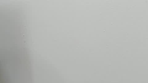 Snapshot of katy_and_paola chatting on October 2025 07:49:01 PM katy blonde girl and paola big boobs online show from October 2025 07:49:01 PM