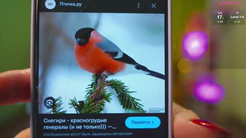 Katy      -    online show from February 2025 02:39:01 AM