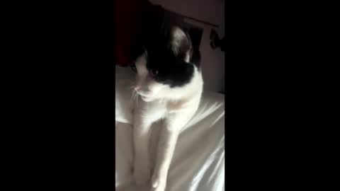 kay_la online show from October 2025 10:13:01 AM