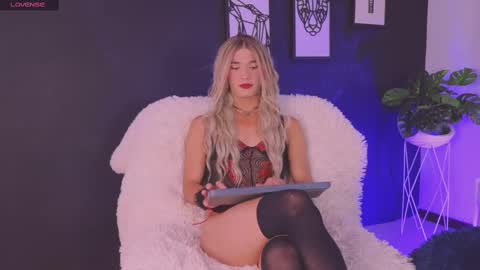 Cattleya stone online show from February 2025 07:27:02 PM